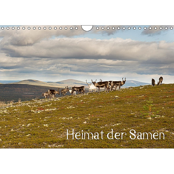 Heimat der Samen (Wandkalender 2019 DIN A4 quer), Torsten Antoniewski