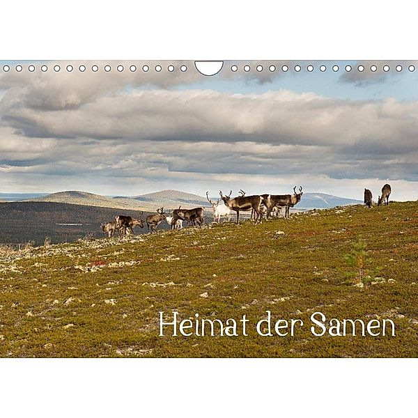 Heimat der Samen (Wandkalender 2023 DIN A4 quer), Torsten Antoniewski