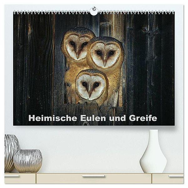 Heimische Eulen und Greife (hochwertiger Premium Wandkalender 2024 DIN A2 quer), Kunstdruck in Hochglanz, Günter Bachmeier