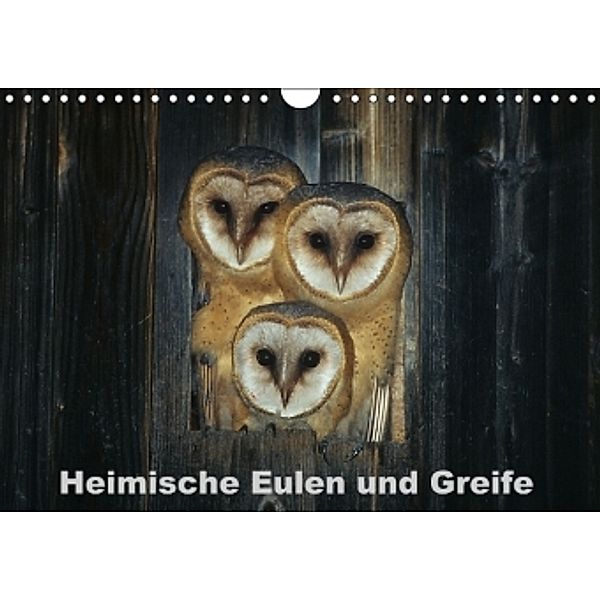 Heimische Eulen und Greife (Wandkalender 2015 DIN A4 quer), Günter Bachmeier