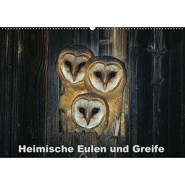 Heimische Eulen und Greife (Wandkalender 2020 DIN A2 quer), Günter Bachmeier