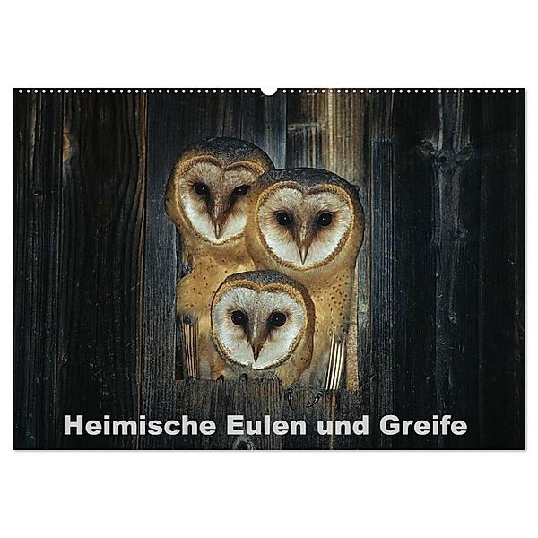 Heimische Eulen und Greife (Wandkalender 2024 DIN A2 quer), CALVENDO Monatskalender, Günter Bachmeier