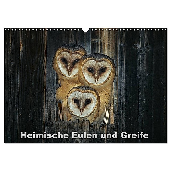 Heimische Eulen und Greife (Wandkalender 2024 DIN A3 quer), CALVENDO Monatskalender, Günter Bachmeier