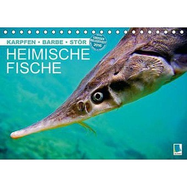 Heimische Fische: Karpfen, Barbe, Stör (Tischkalender 2016 DIN A5 quer), Calvendo