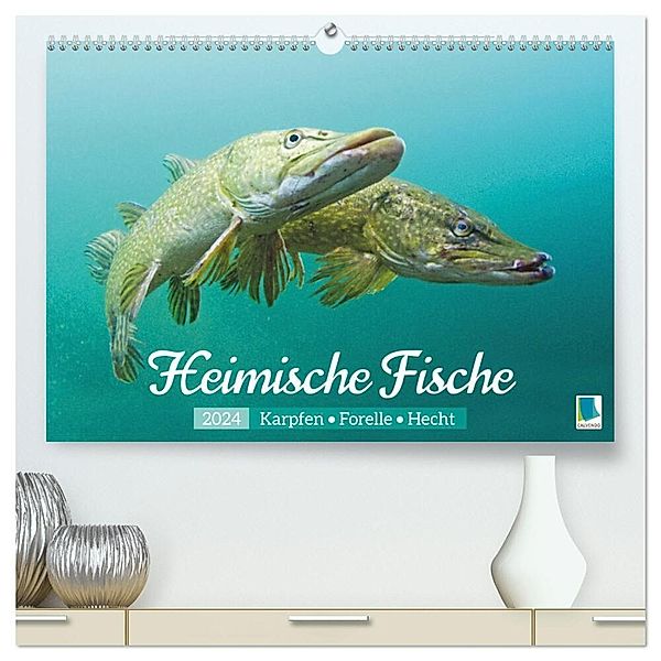 Heimische Fische: Karpfen, Forelle, Hecht (hochwertiger Premium Wandkalender 2024 DIN A2 quer), Kunstdruck in Hochglanz, Calvendo