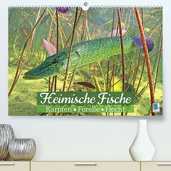 Heimische Fische: Karpfen, Forelle, Hecht (Premium, hochwertiger DIN A2 Wandkalender 2023, Kunstdruck in Hochglanz), Calvendo