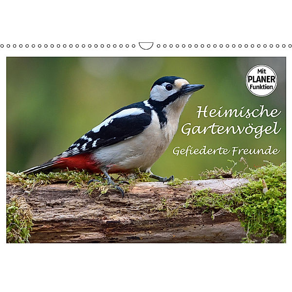 Heimische Gartenvögel Gefiederte Freunde (Wandkalender 2019 DIN A3 quer), Dieter-M. Wilczek