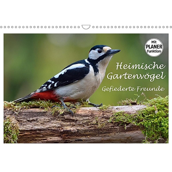 Heimische Gartenvögel Gefiederte Freunde (Wandkalender 2021 DIN A3 quer), Dieter-M. Wilczek