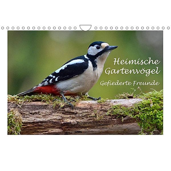 Heimische Gartenvögel - Gefiederte Freunde (Wandkalender 2023 DIN A4 quer), Dieter Wilczek