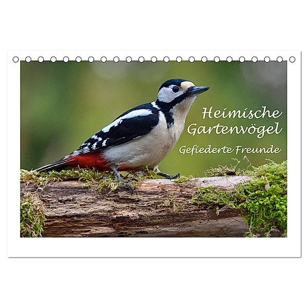 Heimische Gartenvögel - Gefiederte Freunde (Tischkalender 2025 DIN A5 quer), CALVENDO Monatskalender, Calvendo, Dieter Wilczek