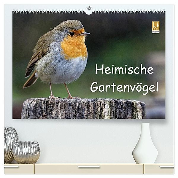 Heimische Gartenvögel (hochwertiger Premium Wandkalender 2025 DIN A2 quer), Kunstdruck in Hochglanz, Calvendo, Dieter Wilczek