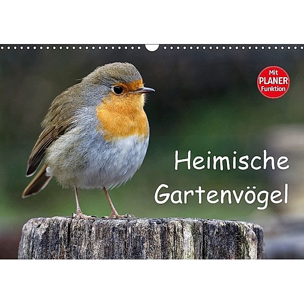 Heimische Gartenvögel (Wandkalender 2018 DIN A3 quer), Dieter-M. Wilczek