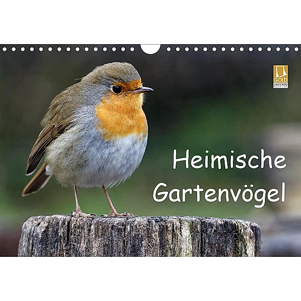 Heimische Gartenvögel (Wandkalender 2021 DIN A4 quer), Dieter-M. Wilczek