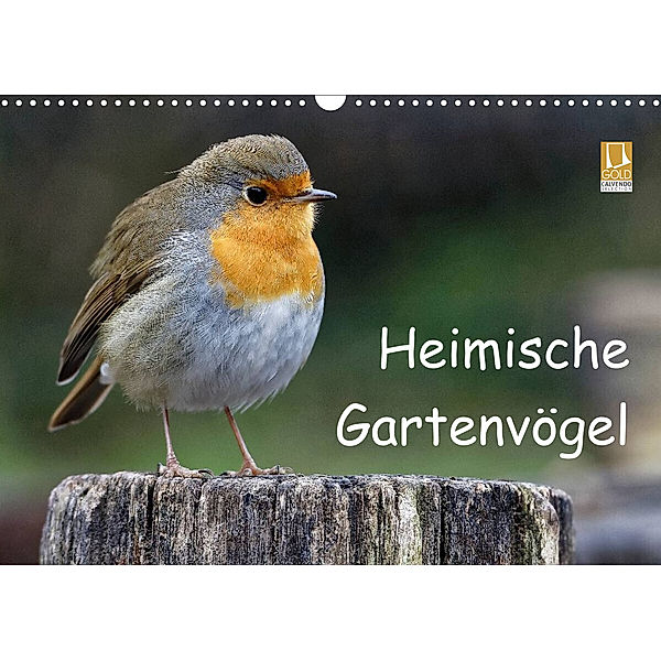 Heimische Gartenvögel (Wandkalender 2023 DIN A3 quer), Dieter Wilczek