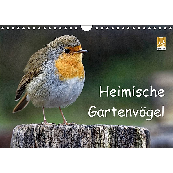 Heimische Gartenvögel (Wandkalender 2023 DIN A4 quer), Dieter Wilczek