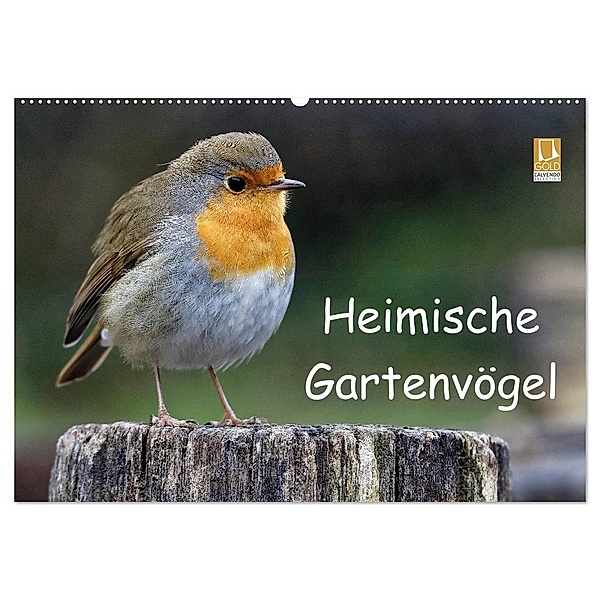 Heimische Gartenvögel (Wandkalender 2024 DIN A2 quer), CALVENDO Monatskalender, Dieter Wilczek