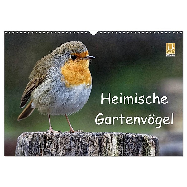 Heimische Gartenvögel (Wandkalender 2024 DIN A3 quer), CALVENDO Monatskalender, Dieter Wilczek