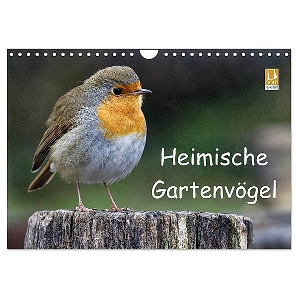 Heimische Gartenvögel (Wandkalender 2024 DIN A4 quer), CALVENDO Monatskalender, Dieter Wilczek