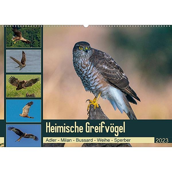 Heimische GREIFVÖGEL Adler Milan Bussard Weihe Sperber (Wandkalender 2023 DIN A2 quer), Arne Wünsche