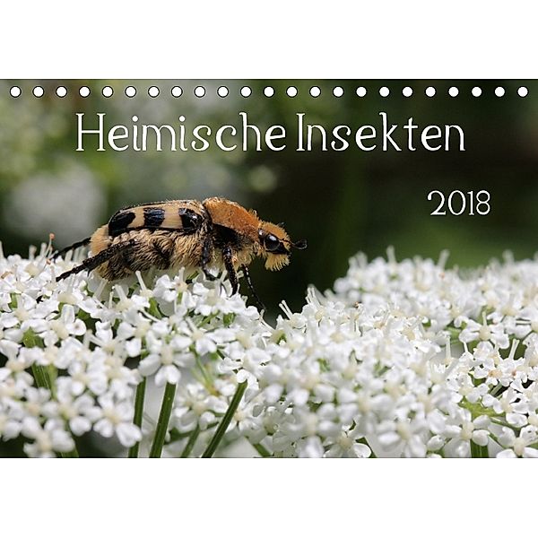 Heimische Insekten 2018 (Tischkalender 2018 DIN A5 quer) Dieser erfolgreiche Kalender wurde dieses Jahr mit gleichen Bil, Silvia Hahnefeld