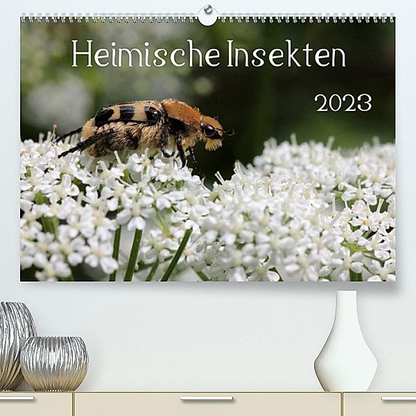 Heimische Insekten 2023 (Premium, hochwertiger DIN A2 Wandkalender 2023, Kunstdruck in Hochglanz), Silvia Hahnefeld