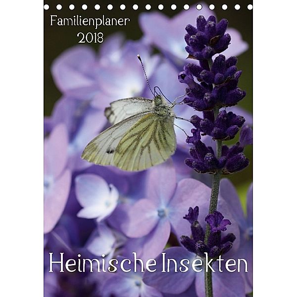 Heimische Insekten / Familienplaner (Tischkalender 2018 DIN A5 hoch), Silvia Hahnefeld