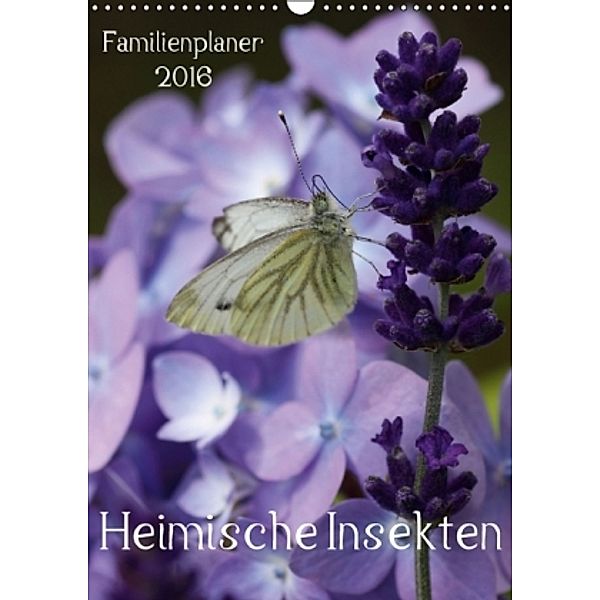 Heimische Insekten / Familienplaner (Wandkalender 2016 DIN A3 hoch), Silvia Hahnefeld