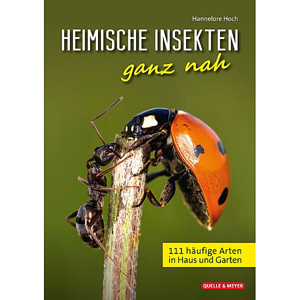 Heimische Insekten ganz nah, Hannelore Hoch