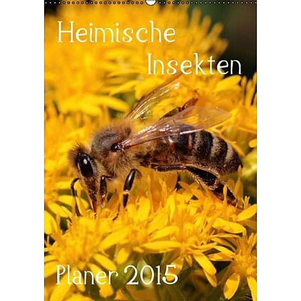 Heimische Insekten / Planer (Wandkalender 2015 DIN A2 hoch), Silvia Hahnefeld