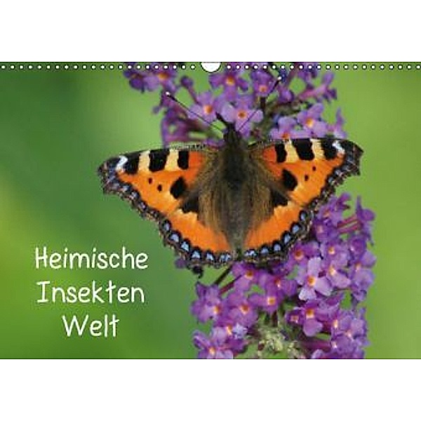 Heimische Insekten Welten (Wandkalender 2016 DIN A3 quer), Kattobello