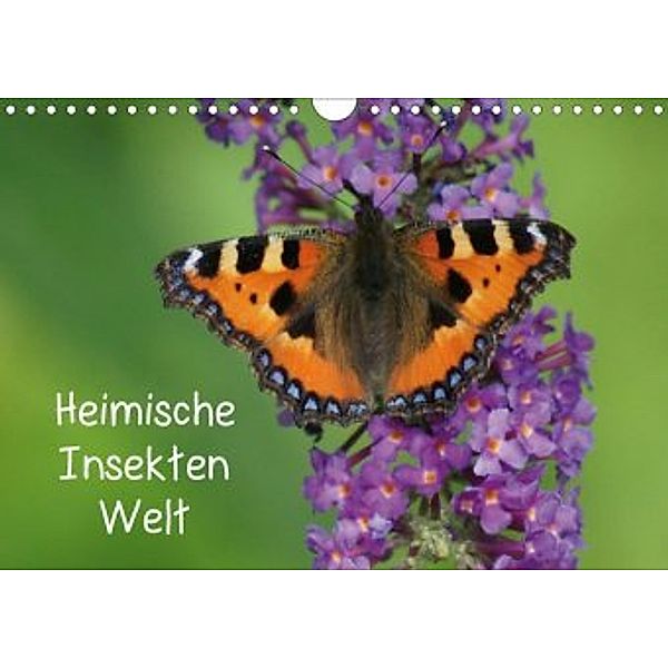 Heimische Insekten Welten (Wandkalender 2020 DIN A4 quer)