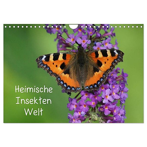 Heimische Insekten Welten (Wandkalender 2024 DIN A4 quer), CALVENDO Monatskalender, Kattobello