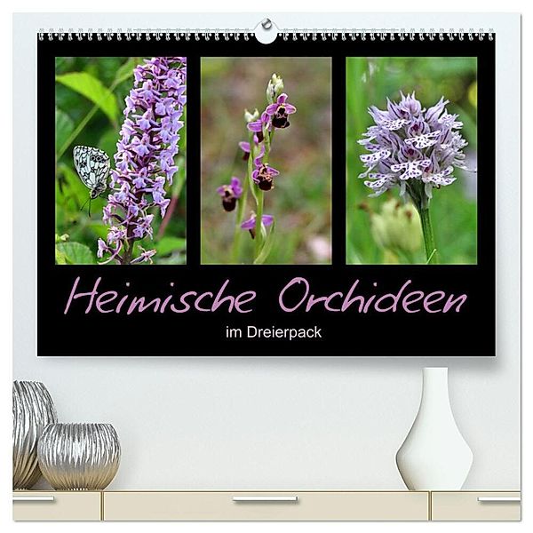 Heimische Orchideen im Dreierpack (hochwertiger Premium Wandkalender 2024 DIN A2 quer), Kunstdruck in Hochglanz, Sabine Löwer