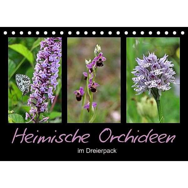 Heimische Orchideen im Dreierpack (Tischkalender 2023 DIN A5 quer), Sabine Löwer
