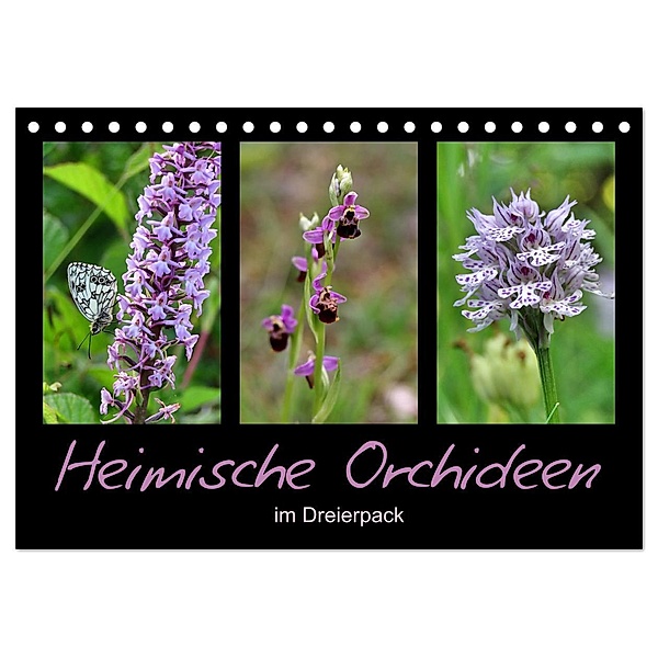 Heimische Orchideen im Dreierpack (Tischkalender 2024 DIN A5 quer), CALVENDO Monatskalender, Sabine Löwer