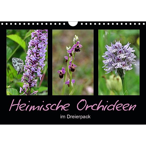 Heimische Orchideen im Dreierpack (Wandkalender 2020 DIN A4 quer), Sabine Löwer