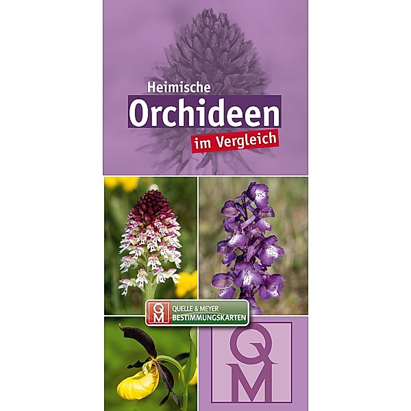 Heimische Orchideen im Vergleich - 10er-Set