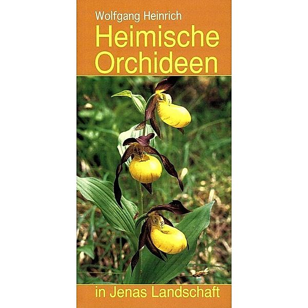 Heimische Orchideen in Jenas Landschaft, Wolfgang Heinrich