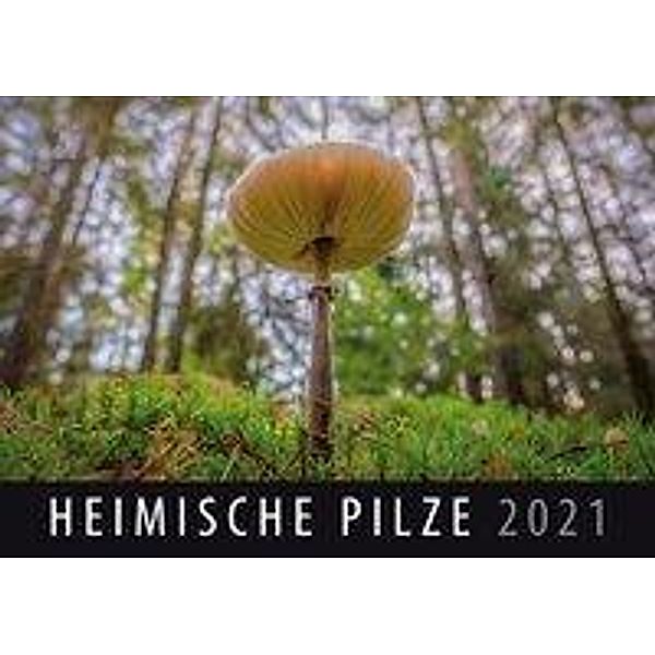 Heimische Pilze 2021