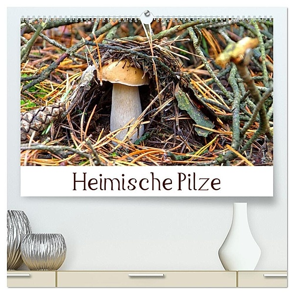Heimische Pilze (hochwertiger Premium Wandkalender 2024 DIN A2 quer), Kunstdruck in Hochglanz, LianeM