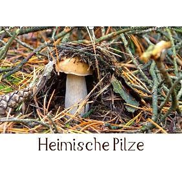 Heimische Pilze (Wandkalender 2016 DIN A2 quer), LianeM