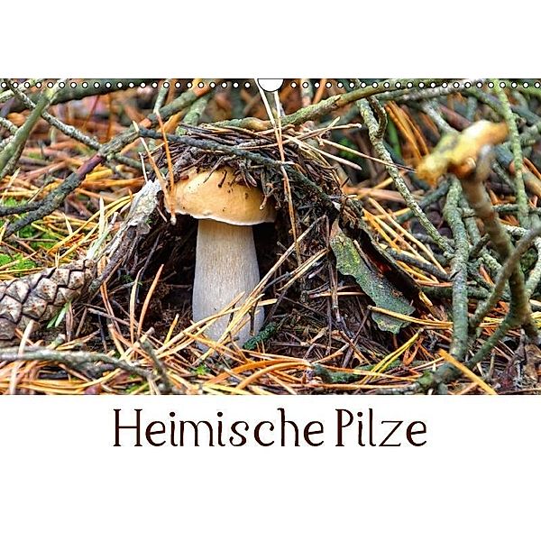 Heimische Pilze (Wandkalender 2017 DIN A3 quer), LianeM