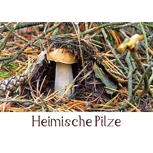 Heimische Pilze (Wandkalender 2019 DIN A2 quer), LianeM