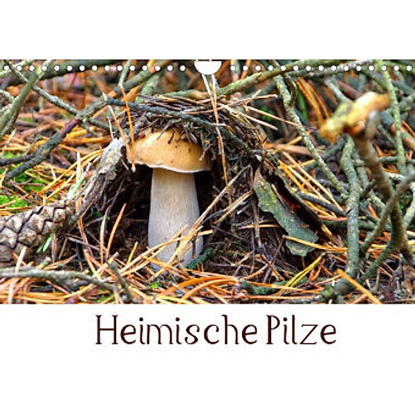 Heimische Pilze (Wandkalender 2022 DIN A4 quer), LianeM