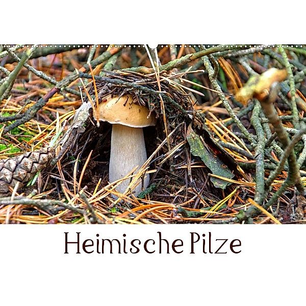 Heimische Pilze (Wandkalender 2023 DIN A2 quer), LianeM