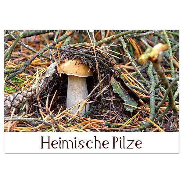 Heimische Pilze (Wandkalender 2024 DIN A2 quer), CALVENDO Monatskalender, LianeM