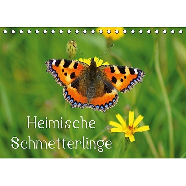 Heimische Schmetterlinge / Geburtstagskalender (Tischkalender immerwährend DIN A5 quer), Kattobello, k.A. kattobello