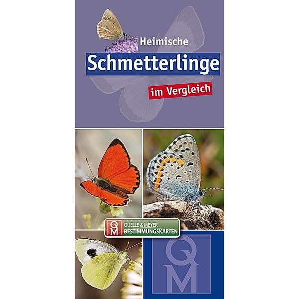 Heimische Schmetterlinge im Vergleich