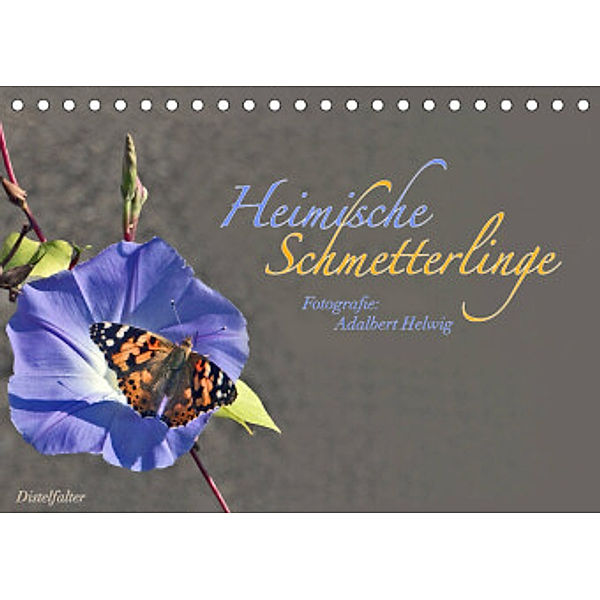 Heimische Schmetterlinge (Tischkalender 2022 DIN A5 quer), Adalbert Helwig