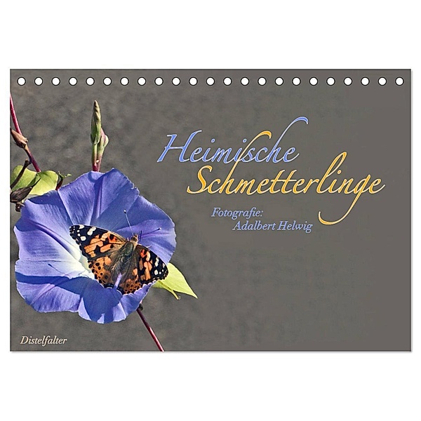 Heimische Schmetterlinge (Tischkalender 2024 DIN A5 quer), CALVENDO Monatskalender, Adalbert Helwig
